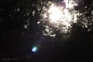 Ankara, light