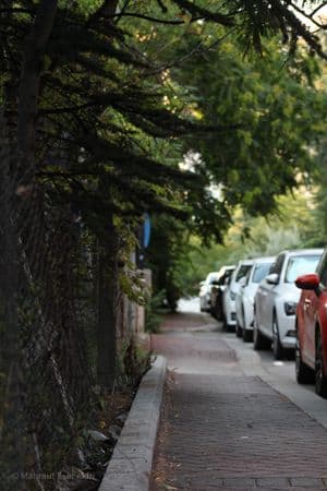 Ankara, city, trees