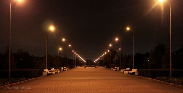 Petersburg, park
