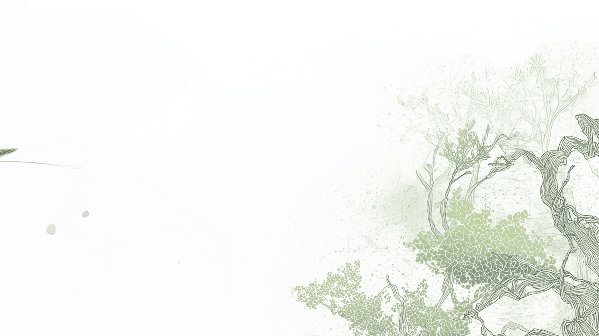 Homepage artwork