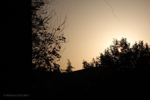 Ankara, sky, trees2