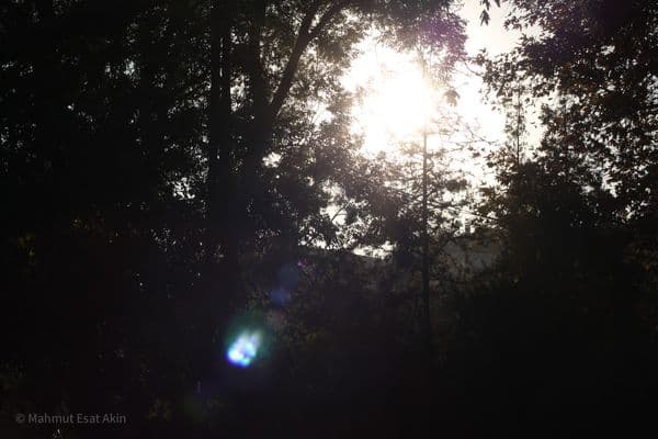 Ankara, light